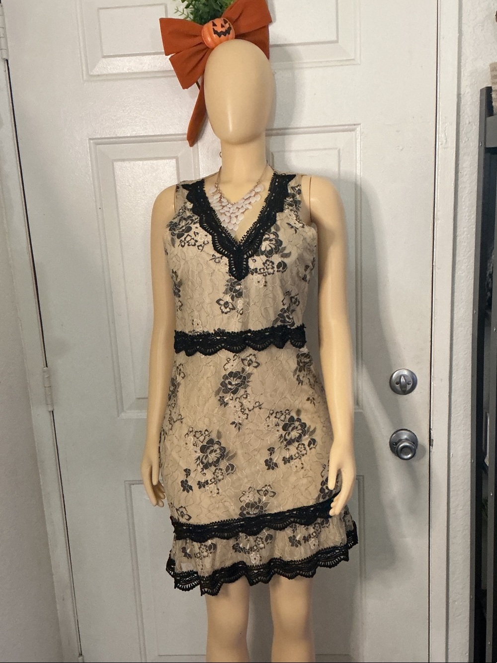 Francesca's Collections Beige Lace Mini Dress with Black Floral Trim